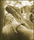 Scott's feet Photo of Scott Fine's feet